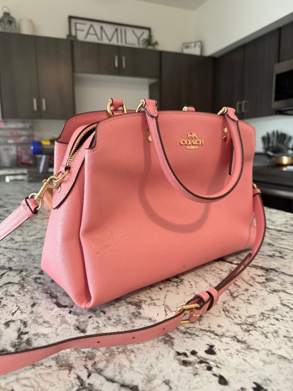 Coach Mini Lillie